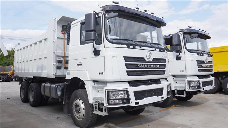 Shacman F3000 10 Wheeler Dump Truck Price for Sale