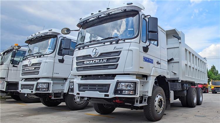 Shacman F3000 10 Wheeler Dump Truck Price for Sale