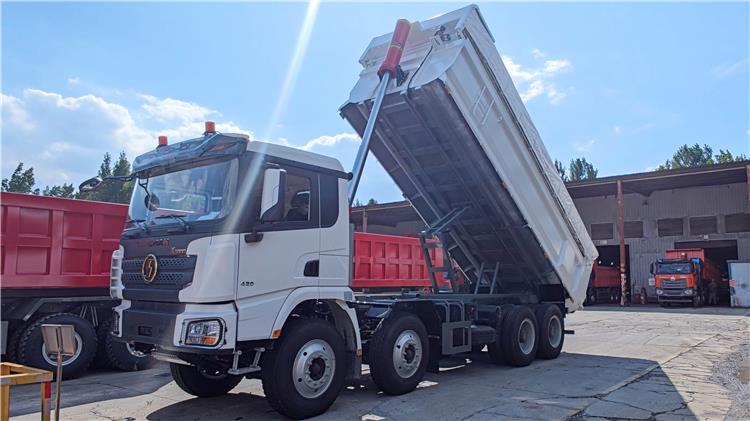 Shacman X3000 Dump Truck 8x4 for Sale In Tanzania