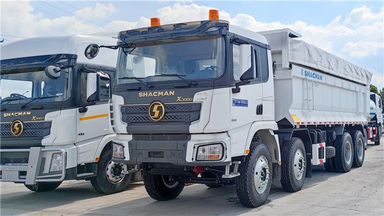 Shacman X3000 Dump Truck 8x4 for Sale In Tanzania