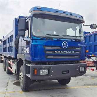  F3000 10 Wheeler Dump Truck